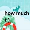 how much is it?教學反思（how much is it）