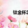 鈦金杯怎么樣（金杯t52怎么樣）
