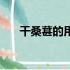 干桑葚的用處（干桑葚有壯陽作用嗎）
