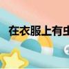 在衣服上有蟲卵（衣服上有蟲卵還能要嗎）