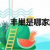 豐巢是哪家旗下的（豐巢是哪家公司的）