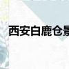 西安白鹿倉景區門票（白鹿倉景區怎么去）