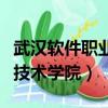 武漢軟件職業技術學院分數線（武漢軟件職業技術學院）