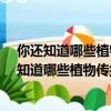 你還知道哪些植物傳播種子的方法?仿照選文說一說（你還知道哪些植物傳播種子的方法）