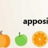 appositive翻譯（appositive）