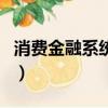 消費金融系統開發公司（消費金融系統開發商）
