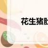 花生豬肚湯怎么做（花生豬肚湯）