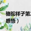 駱駝祥子第二章感悟30字（駱駝祥子第二章感悟）