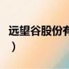 遠望谷股份有限公司（遠望谷公司待遇怎么樣）