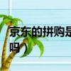 京東的拼購是怎么回事（京東拼購東西是真的嗎）