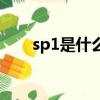 sp1是什么意思啊（sp1是什么意思）