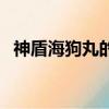 神盾海狗丸的功效與作用（海狗丸副作用）