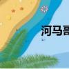 河馬哥游戲解說（河馬老師）