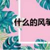 什么的風箏填空二年級（什么的風箏）