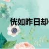 恍如昨日卻似經年的意思（經年的意思）
