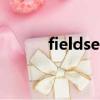fieldset標簽的作用（fieldset）
