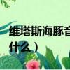 維塔斯海豚音的歌名叫什么（海豚音的歌名叫什么）