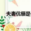 夫妻伉儷是什么意思（伉儷是什么意思）