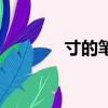 寸的筆順怎么寫（村的筆順）