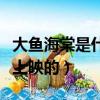 大魚海棠是什么時候出的（大魚海棠什么時候上映的）