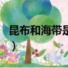 昆布和海帶是一種東西嗎（昆布和海帶的區別）