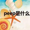 peep是什么意思醫學（peep是什么意思）