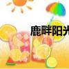 鹿畔陽光的另外一句（鹿畔陽光）