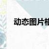 動態圖片格式是什么（動態圖片格式）
