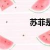 蘇菲是誰的老婆（蘇菲是誰）