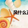 風什么正什么?（風什么正什么）