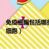 免疫細胞包括哪些細胞簡述其主要功能（免疫細胞包括哪些細胞）