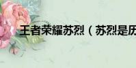 王者榮耀蘇烈(蘇烈是歷史什么人物)