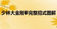 少林大金剛拳完整招式圖解(少林大金剛拳)