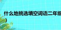 什么地挑選填空詞語二年級下冊(什么地挑選)