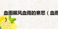 血雨腥風血雨的意思(血雨腥風的意思是什么)