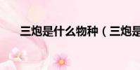 三炮是什么物種(三炮是什么意思啊)