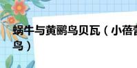 蝸牛與黃鸝鳥貝瓦(小蓓蕾組合 蝸牛與黃鸝鳥)