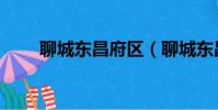聊城東昌府區(聊城東昌府區郵編)