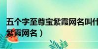 五個字至尊寶紫霞網名叫什么(五個字至尊寶紫霞網名)