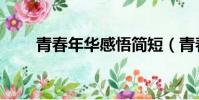 青春年華感悟簡短(青春年華歌詞)