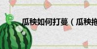 瓜秧如何打蔓(瓜秧拖蔓的讀音)