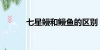 七星鰻和鰻魚的區別(七星鰻)