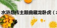水滸后傳主題曲藏龍臥虎(水滸后傳主題曲)