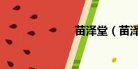 苗澤堂(苗澤)