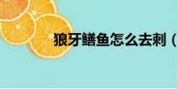 狼牙鱔魚怎么去刺(狼牙鱔)
