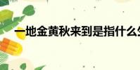 一地金黃秋來到是指什么生肖(一地金)