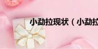 小勐拉現狀(小勐拉維加斯)