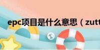 epc項目是什么意思(zutter是什么意思)