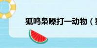 狐鳴梟噪打一動物(狐鳴梟噪)