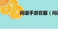 問道手游官服(問道私服)